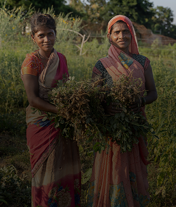 Education, Livelihood & Sustainability